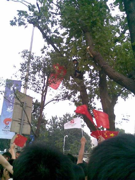 树上的国旗 高度热情