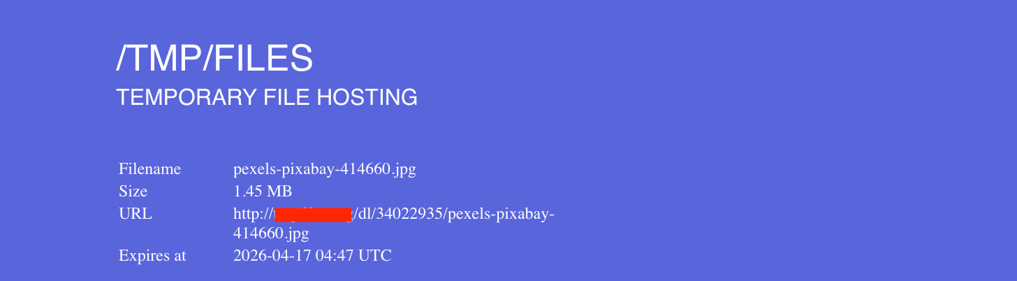 典型文件分享工具的长 URL 截图,展示了在不同设备上手动输入的难度。
